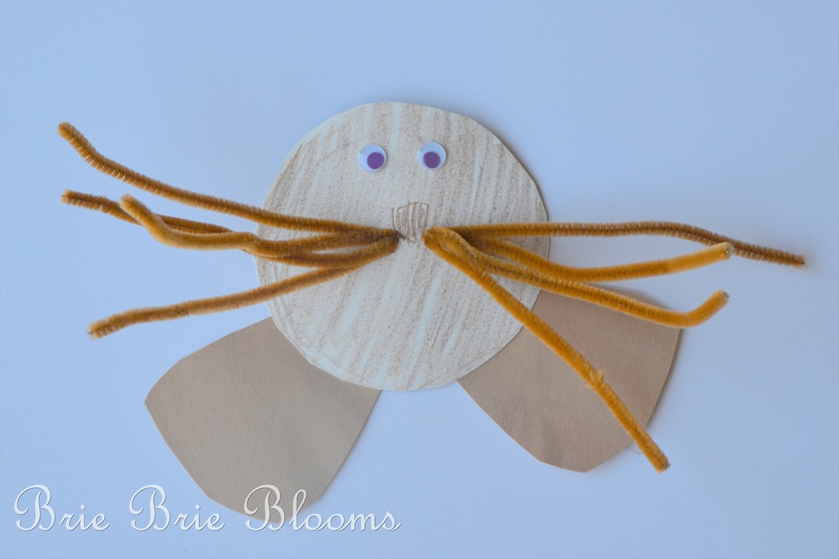 Sea Lion Kids Craft - Brie Brie Blooms