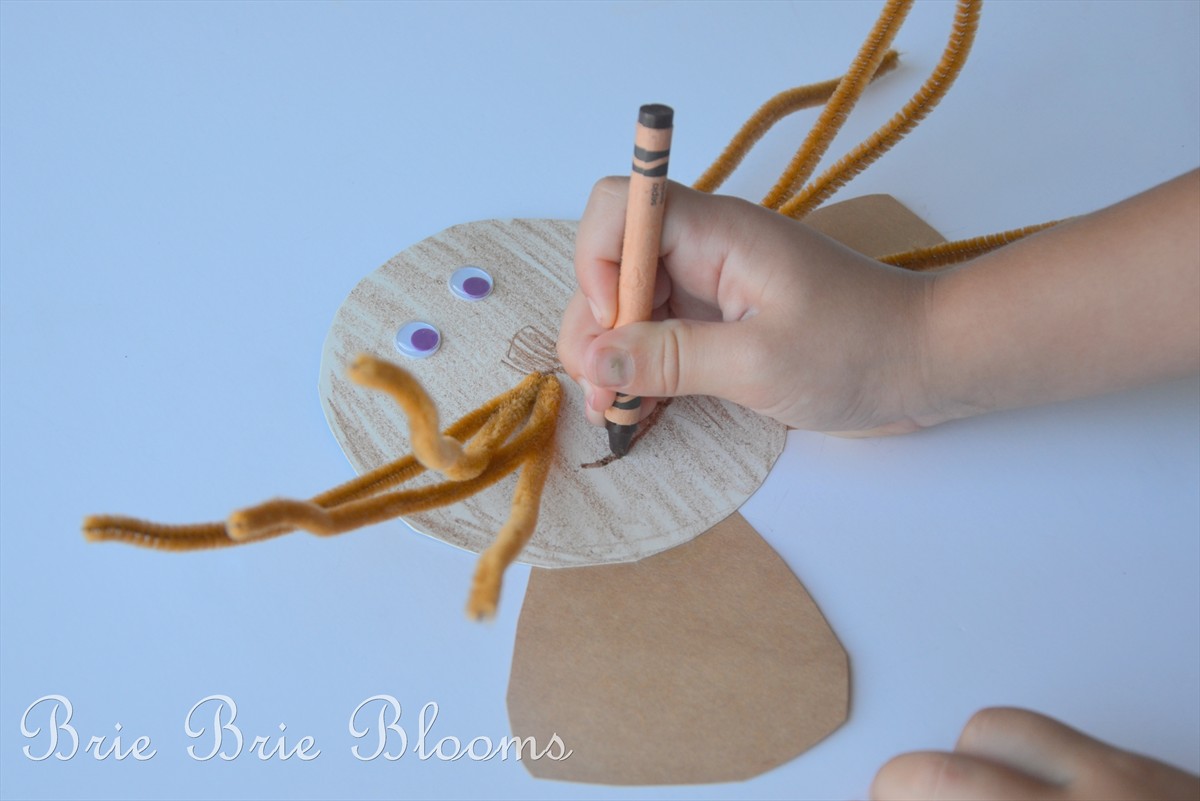 Sea Lion Kids Craft - Brie Brie Blooms