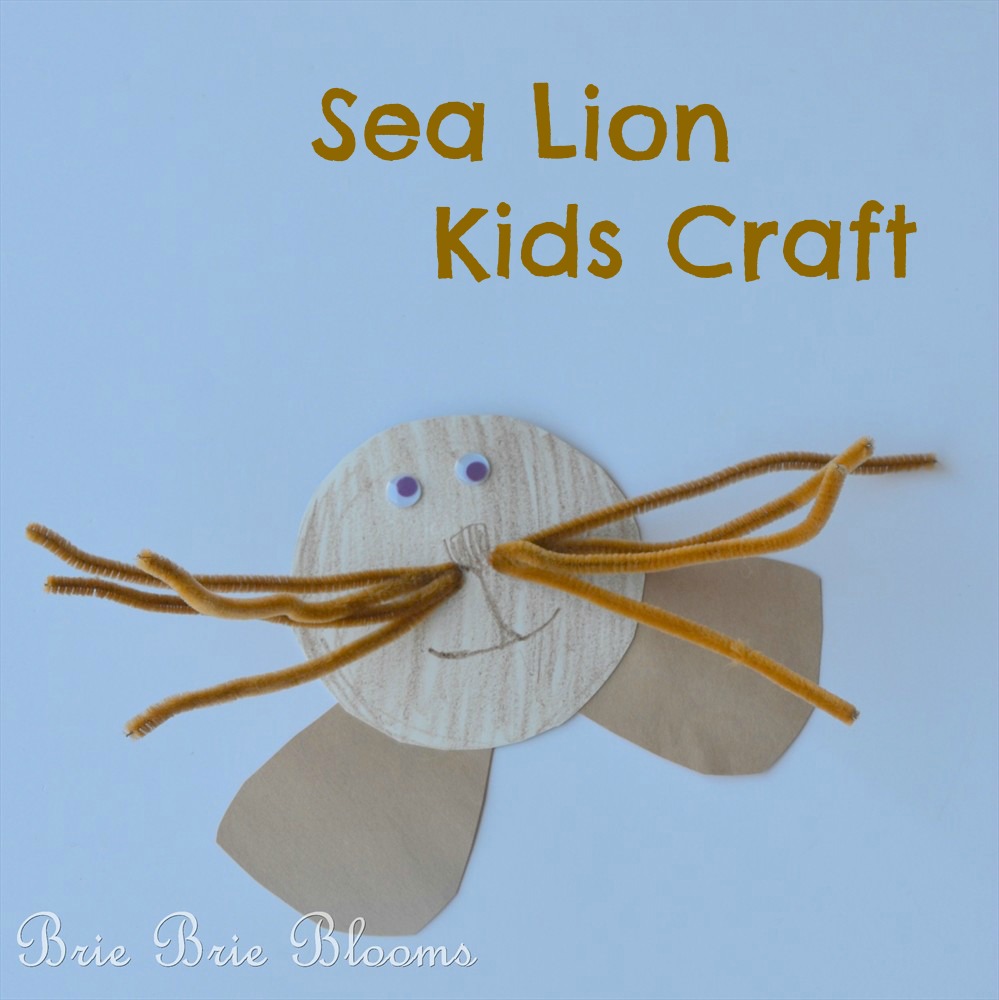 Sea Lion Kids Craft (9)