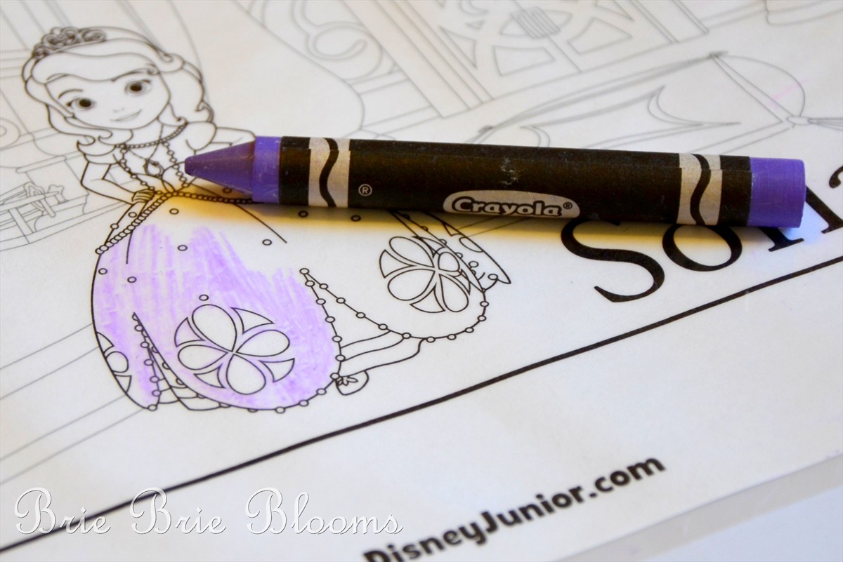 Sofia the First Coloring Makeover Activity (2)