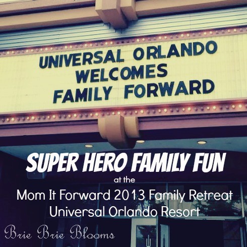 Super Hero Family Fun at the Mom It Forward 2013 Family Retreat (12)