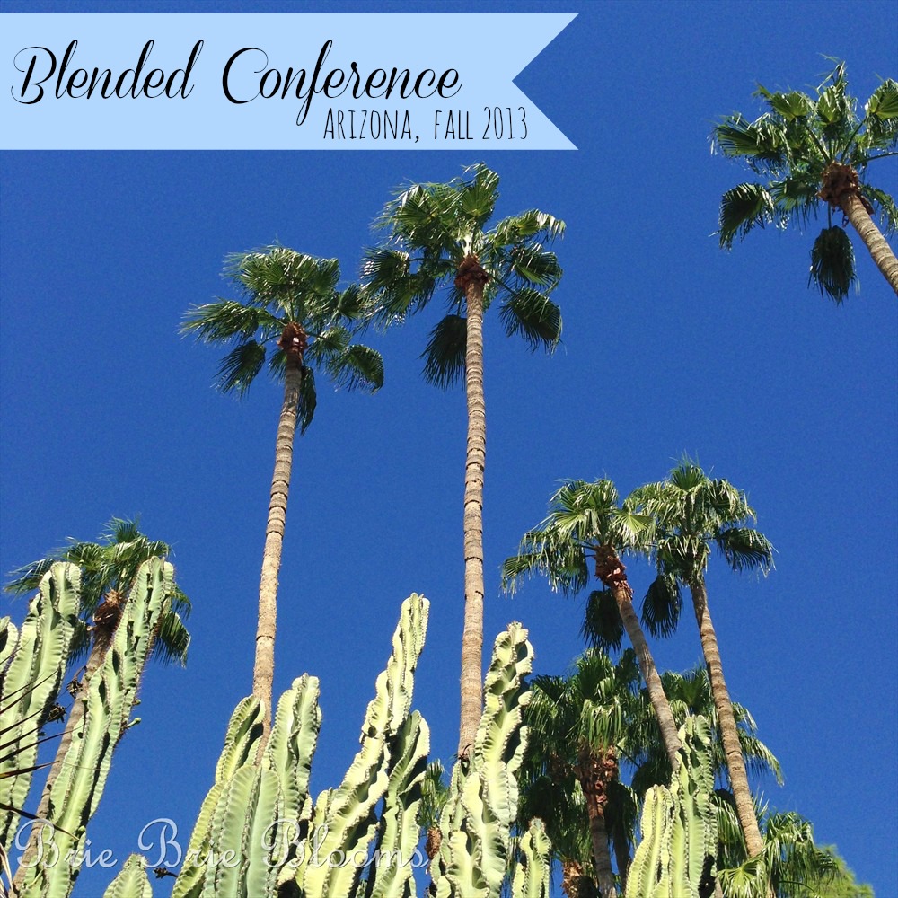 Blended Conference in Arizona Fall 2013