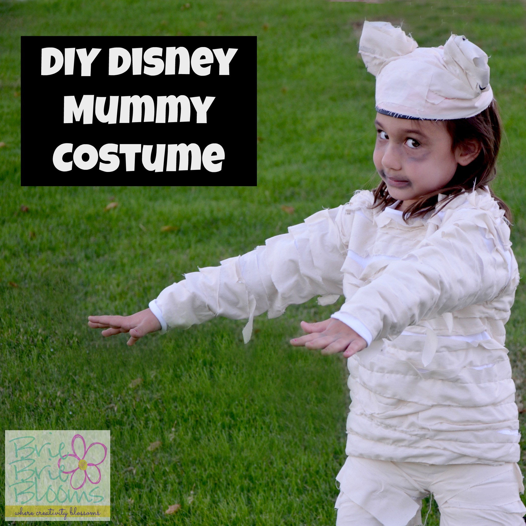 DIY Disney Mummies Costume (1)
