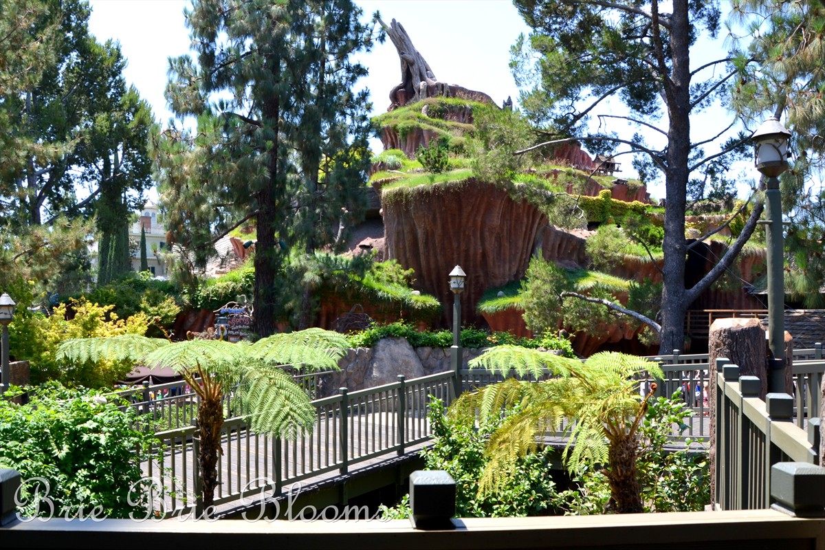 Disneyland Hungry Bear Restaurant, view of Splash Mountain