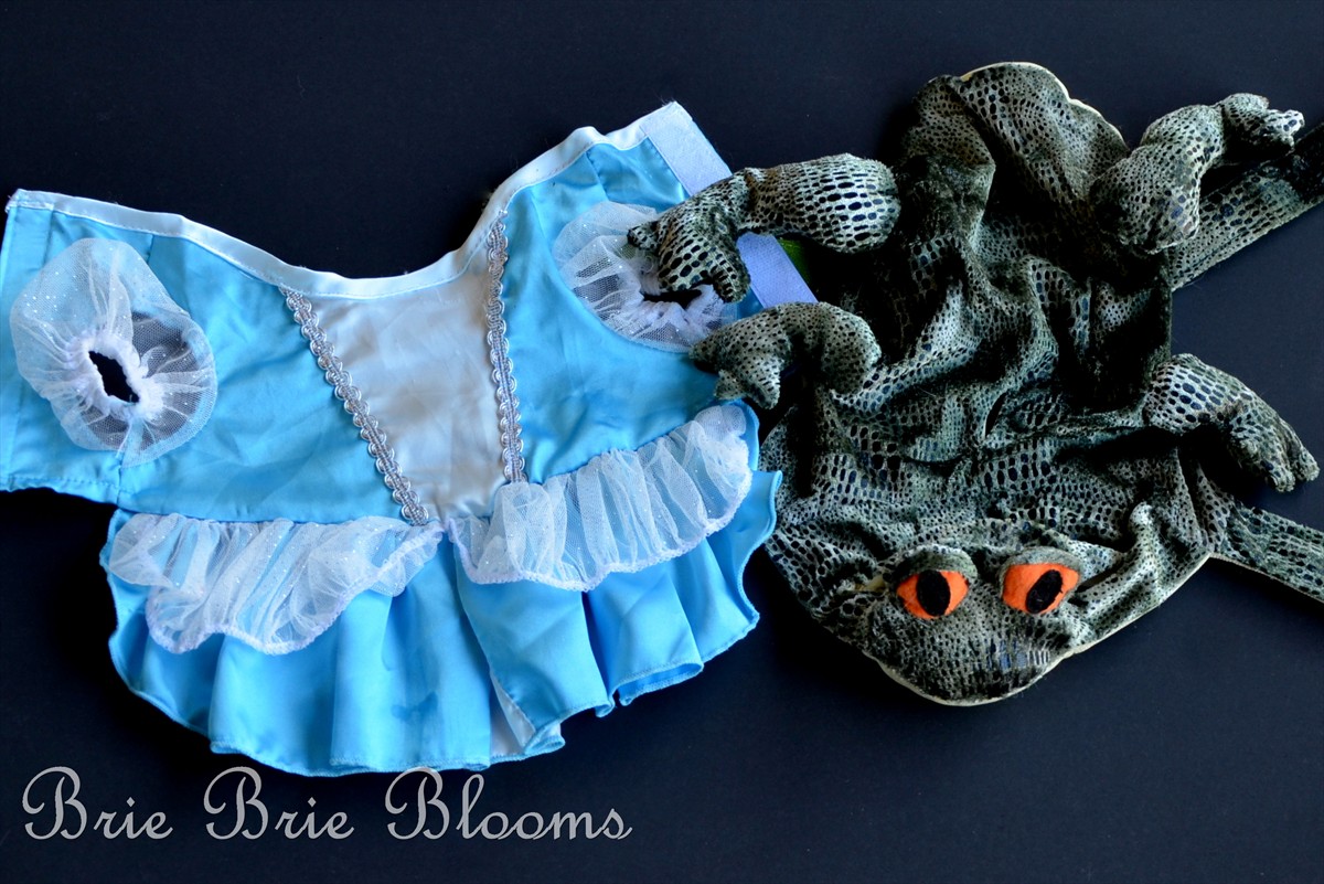 Pet Halloween Costumes, the princess and the frog #shebacat #shop #cbias (8)