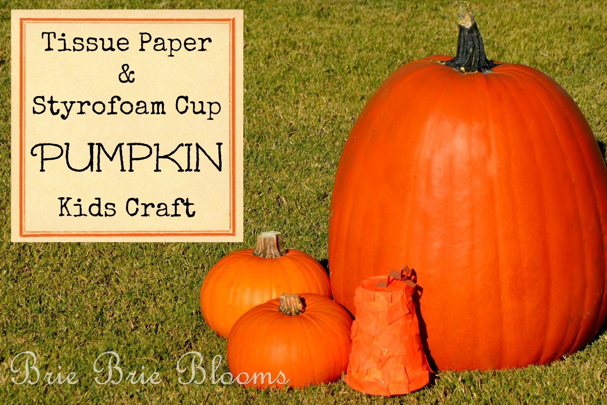 Tissue Paper Pumpkin Kids Craft (5)