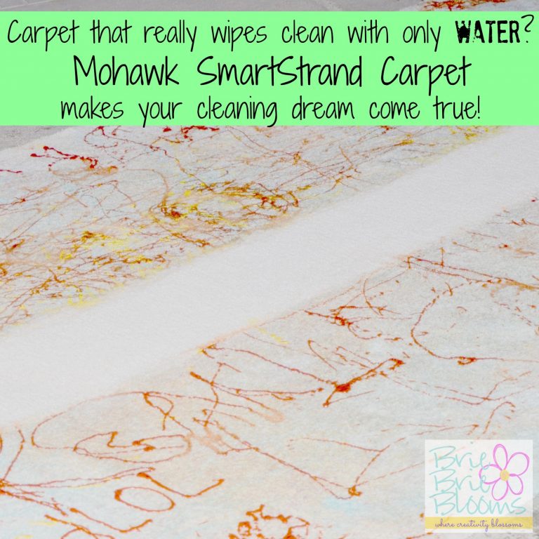 Your Cleaning Dream Comes True with Mohawk SmartStrand Carpet Brie Brie Blooms