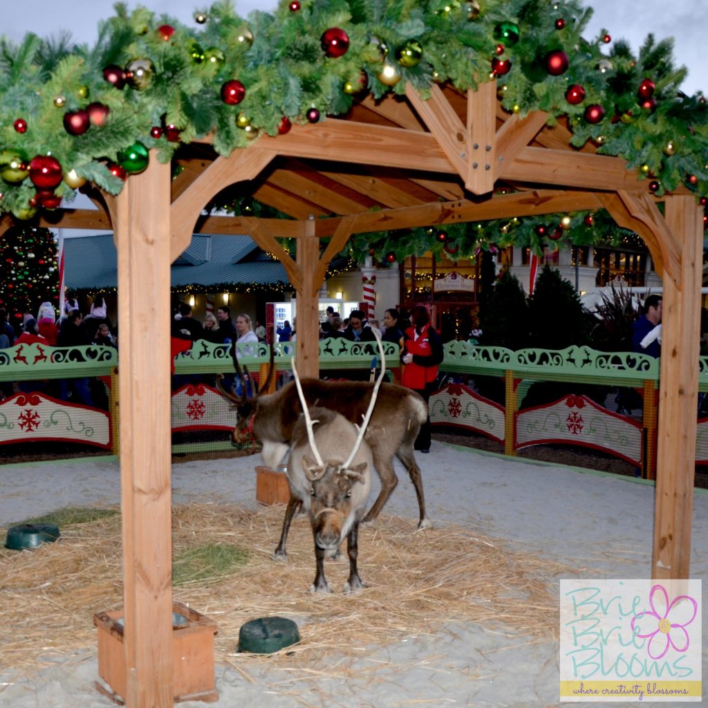 Snow, shows, and family fun at SeaWorld® San Diego's Christmas