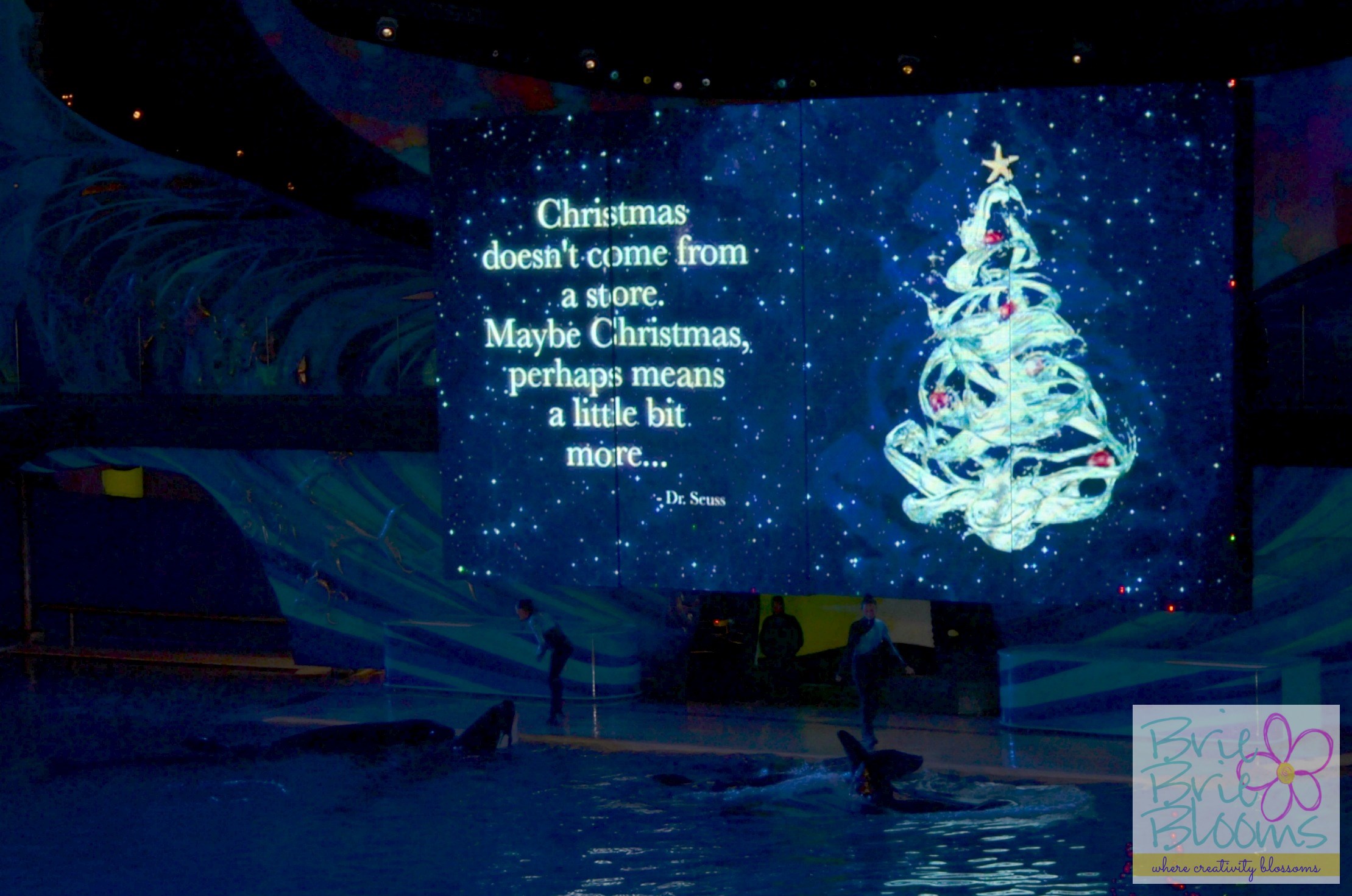 Shamu's Christmas Holiday Show at SeaWorld San Diego
