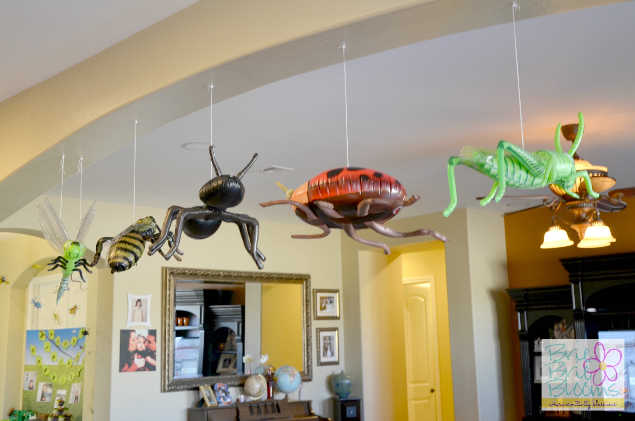 Creepy Crawly Birthday Party decorations, inflatable jumbo bugs