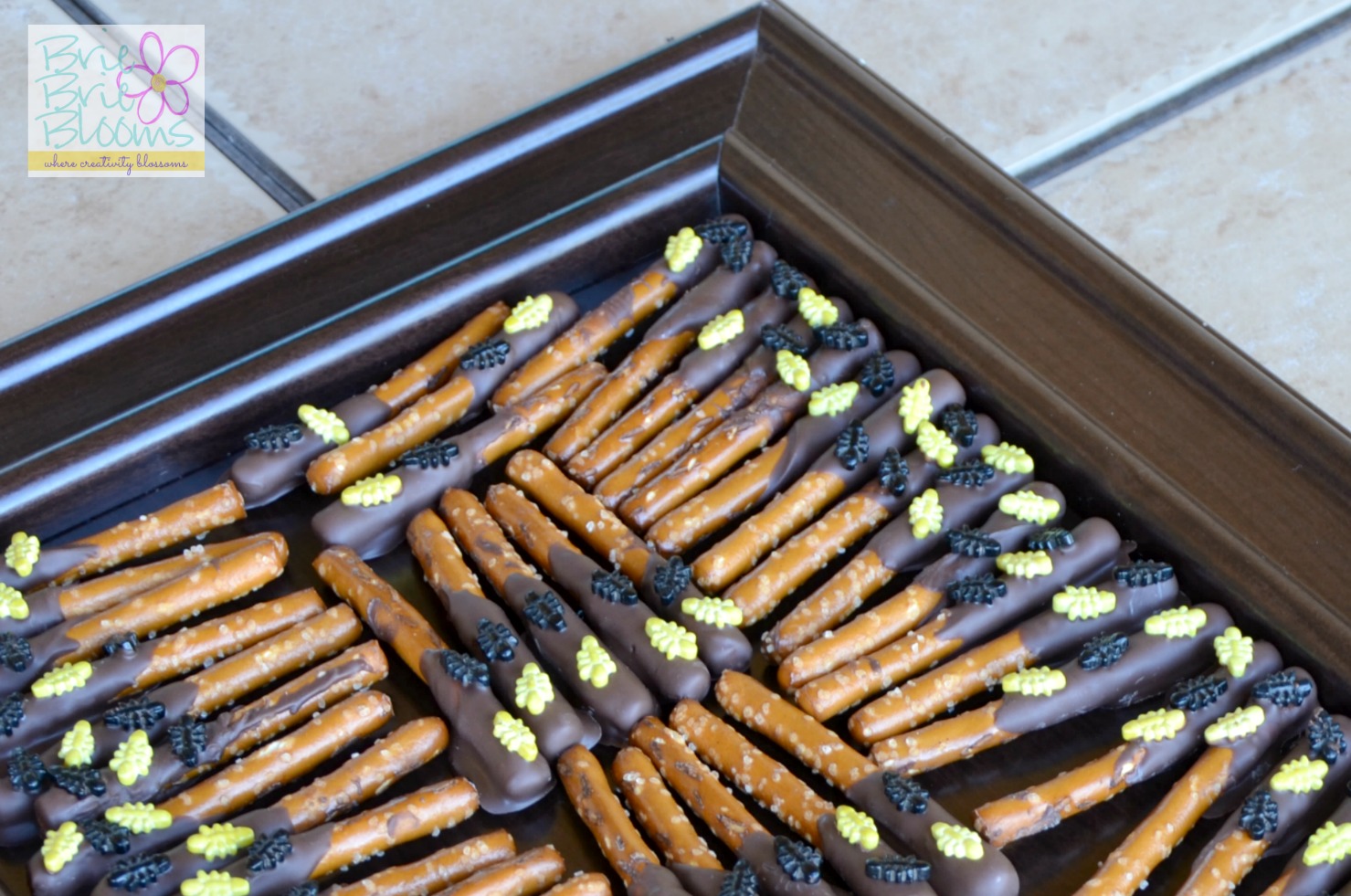 Creepy Crawly Birthday Party food, ants on chocolate pretzels