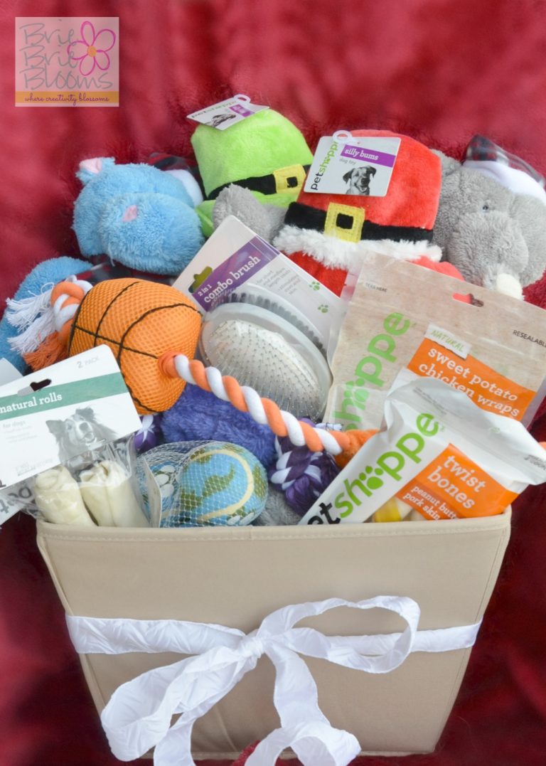 Dog Holiday Gift Basket inspired by the Walgreens Holiday Guide Brie