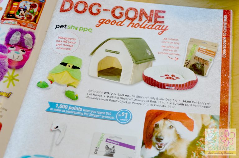 Dog Holiday Gift Basket inspired by the Walgreens Holiday Guide Brie