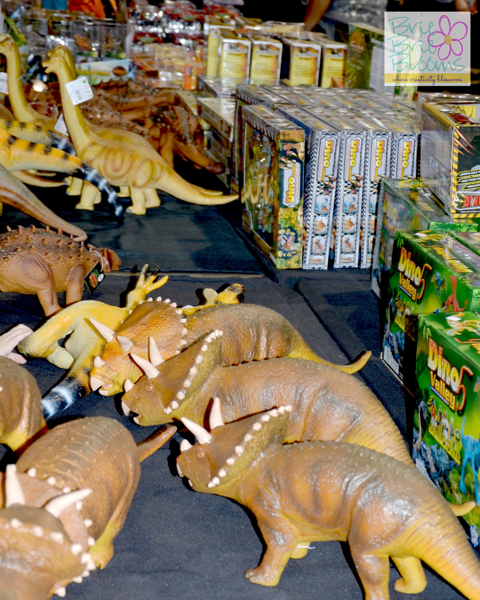 Merchandise at Discover the Dinosaurs in Phoenix January 3-5, 2014