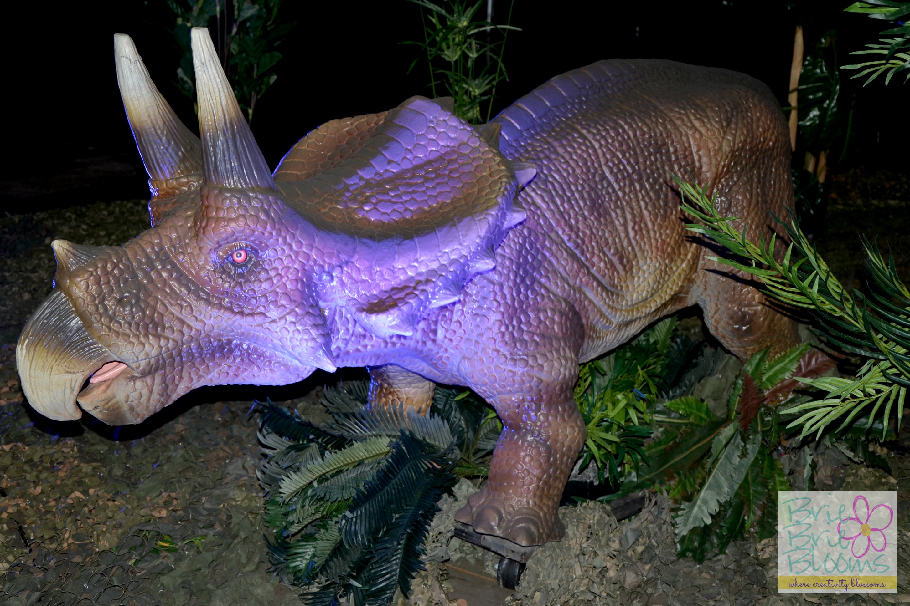 Triceratops at Discover the Dinosaurs in Phoenix January 3-5, 2014