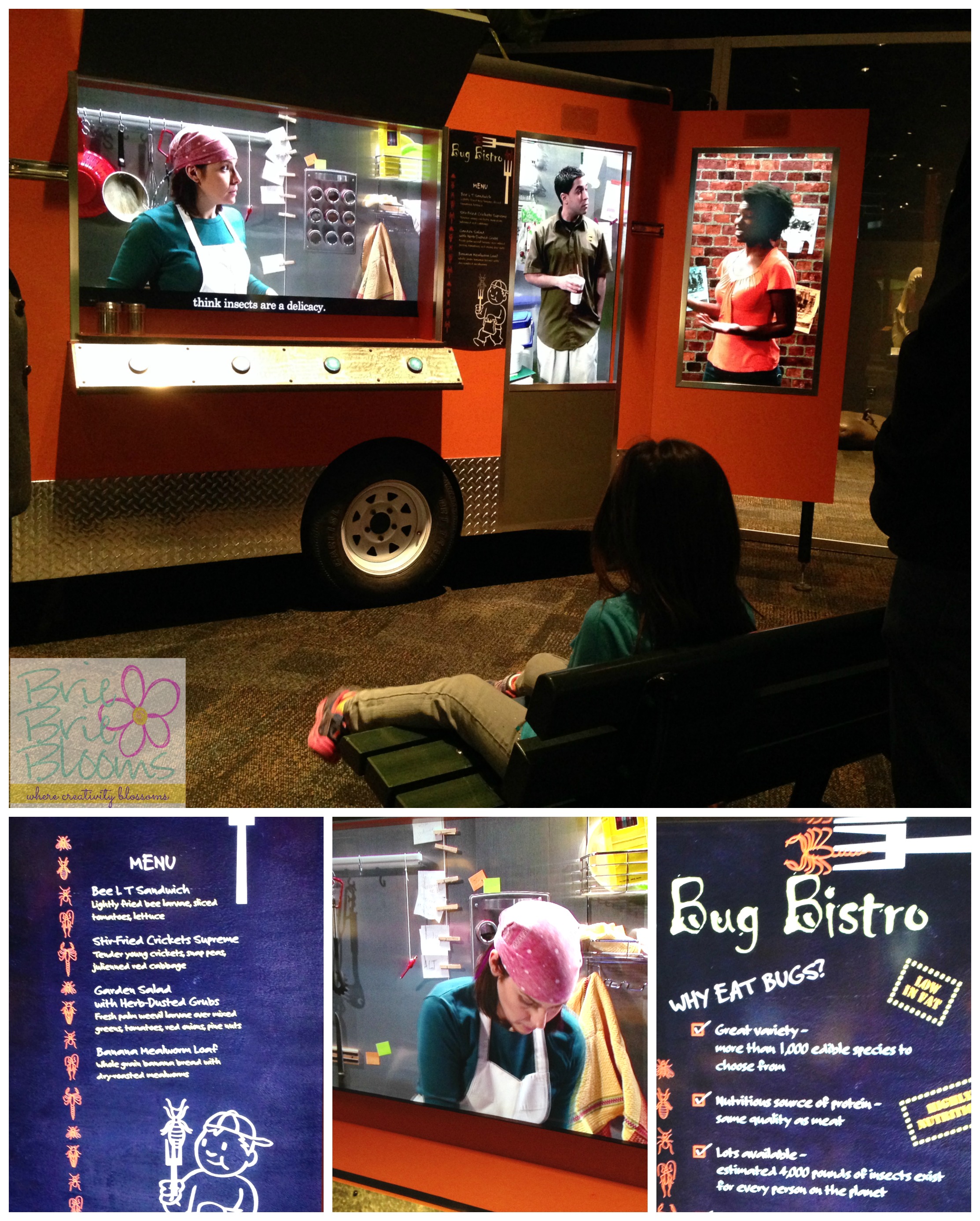 Bug Bistro at The Science of Ripley's Believe It or Not! at the Arizona Science Center