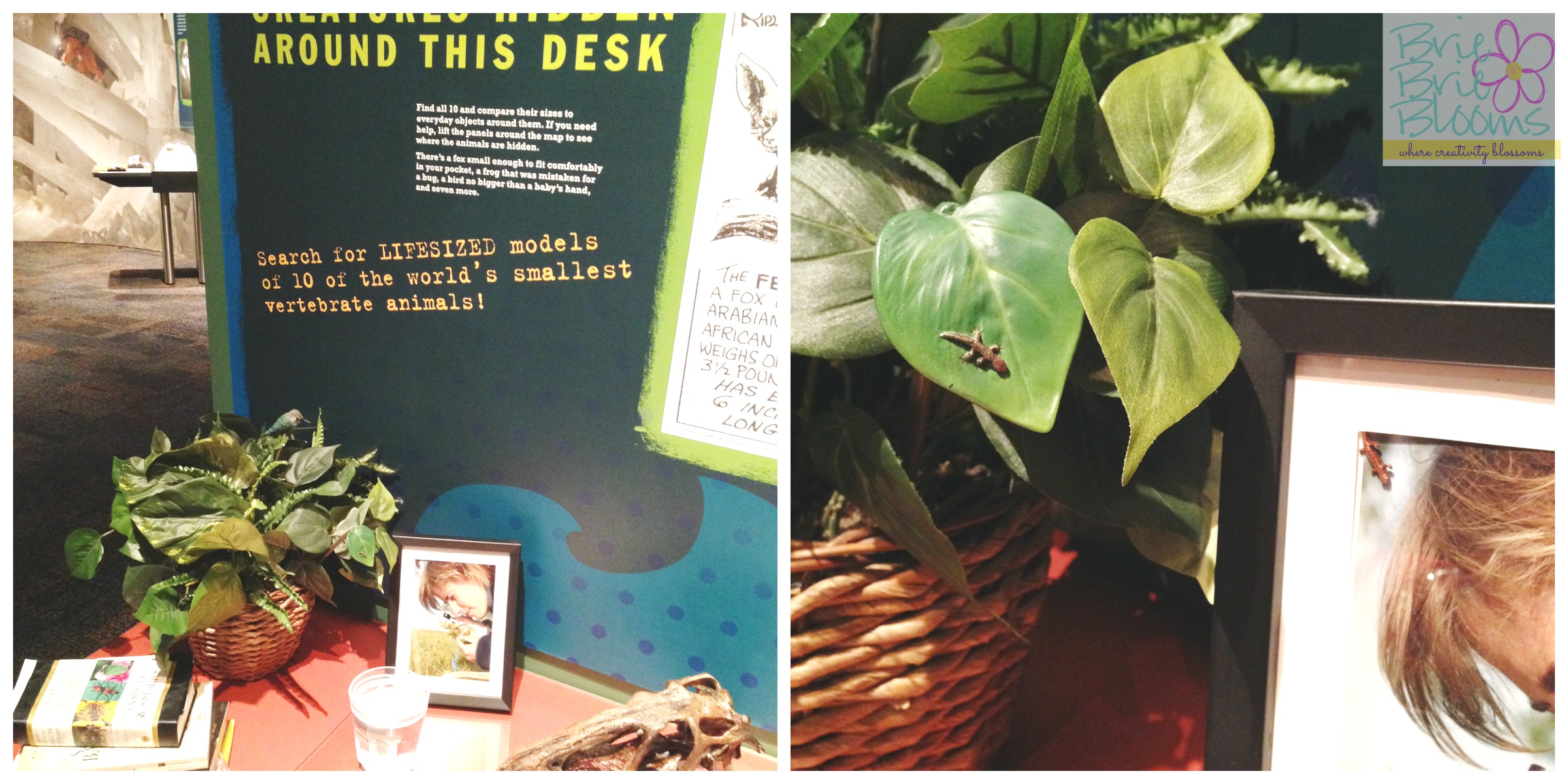 find tiny creatures atThe Science of Ripley's Believe It or Not! at the Arizona Science Center