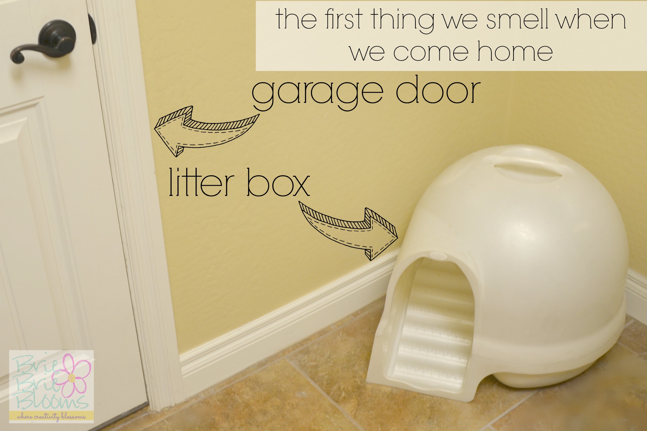 litter-box-next-to-garage-door