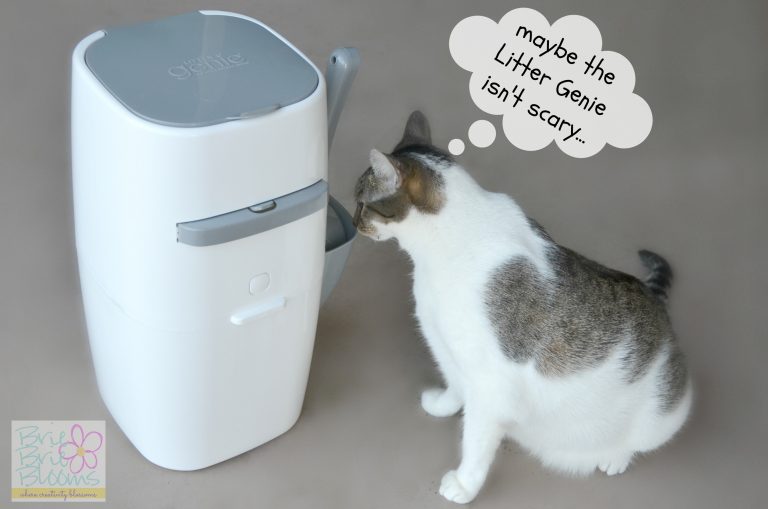 I'm taking control of the litter box with the Litter Genie Brie Brie