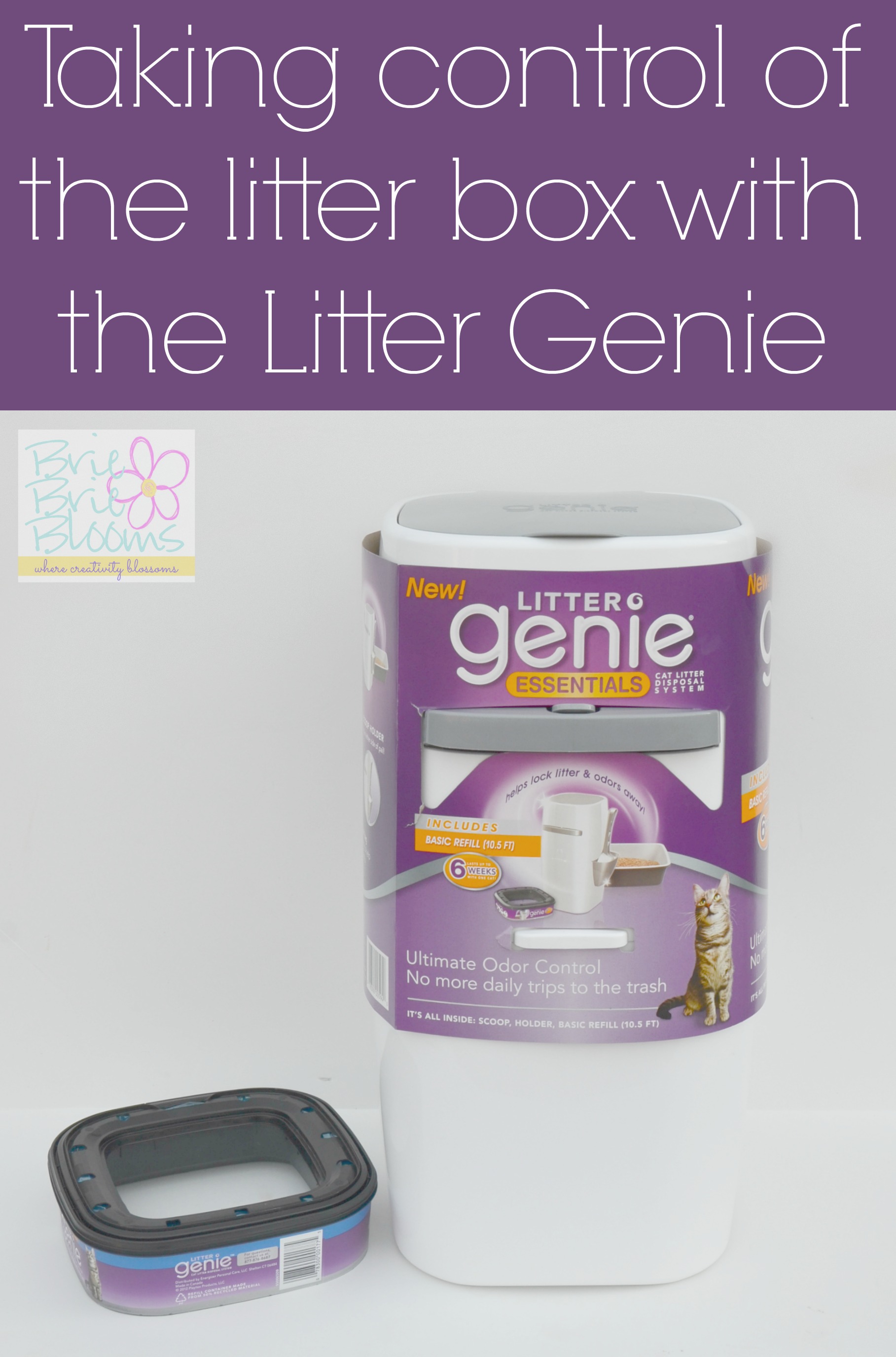 taking-control-of-the-litter-box-with-the-litter-genie