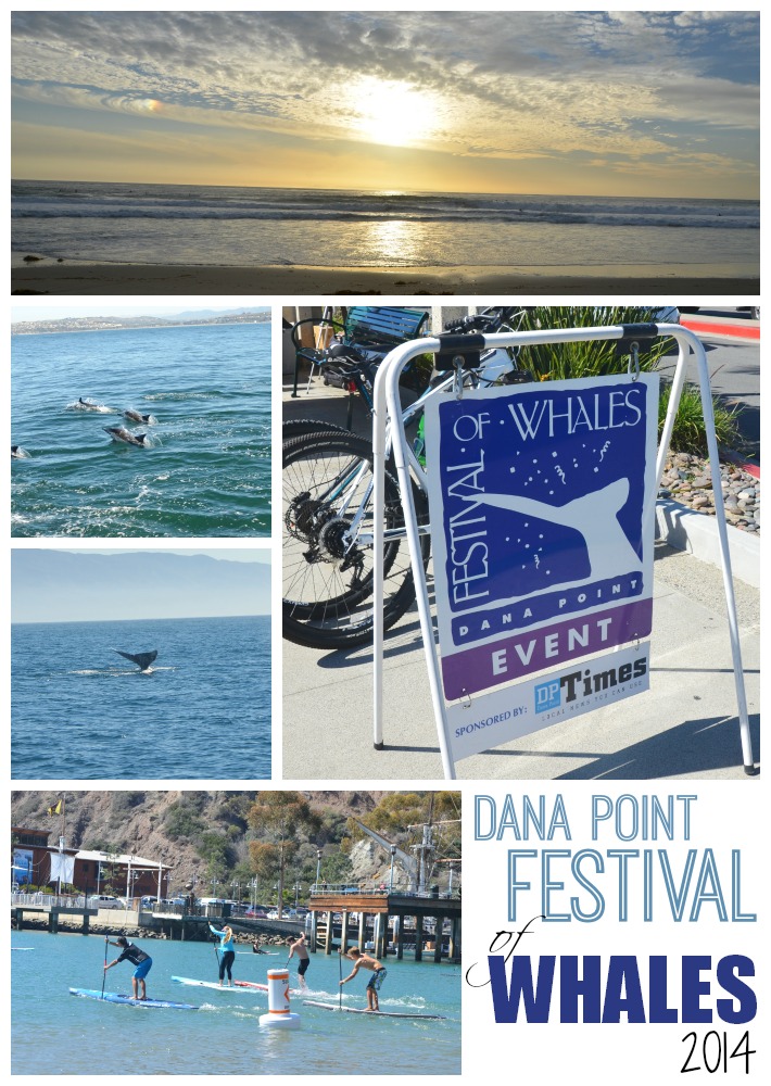Dana Point Festival of Whales 2014