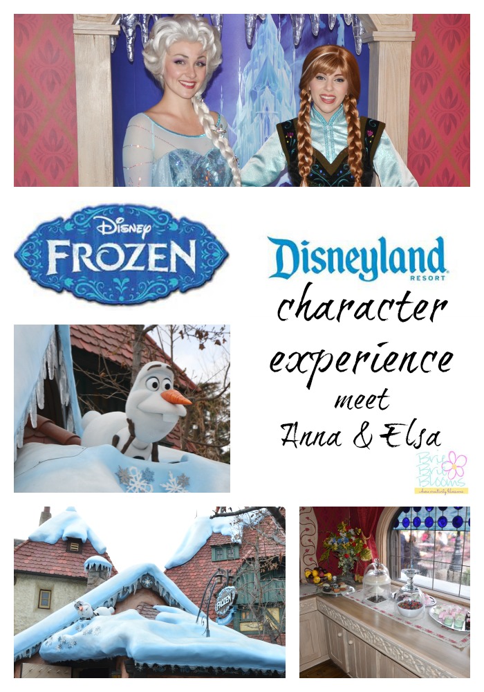 Disney FROZEN character experience at Disneyland, meet Anna and Elsa