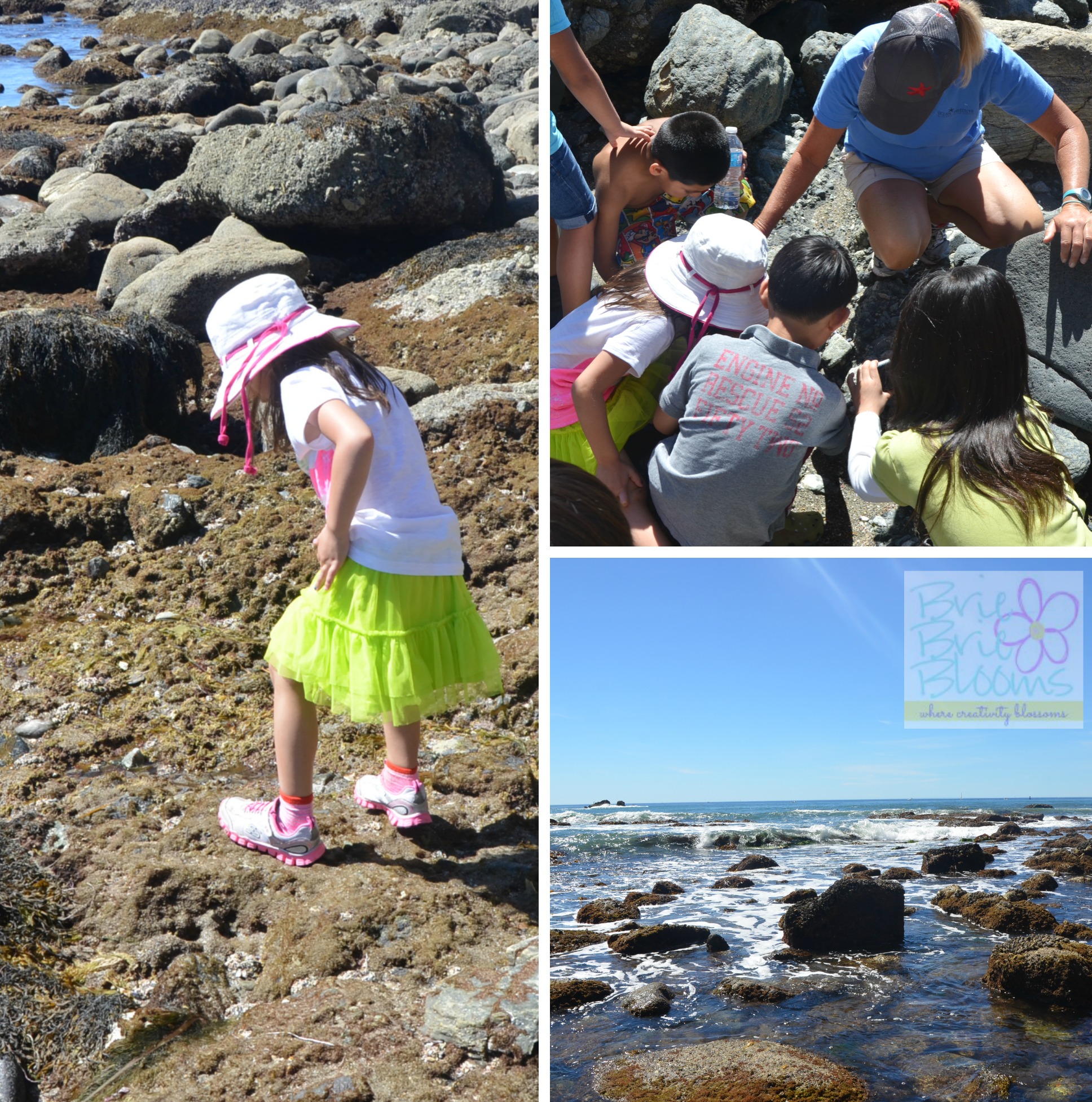 Interactive tide pool hike at the Ocean Institute in Dana Point
