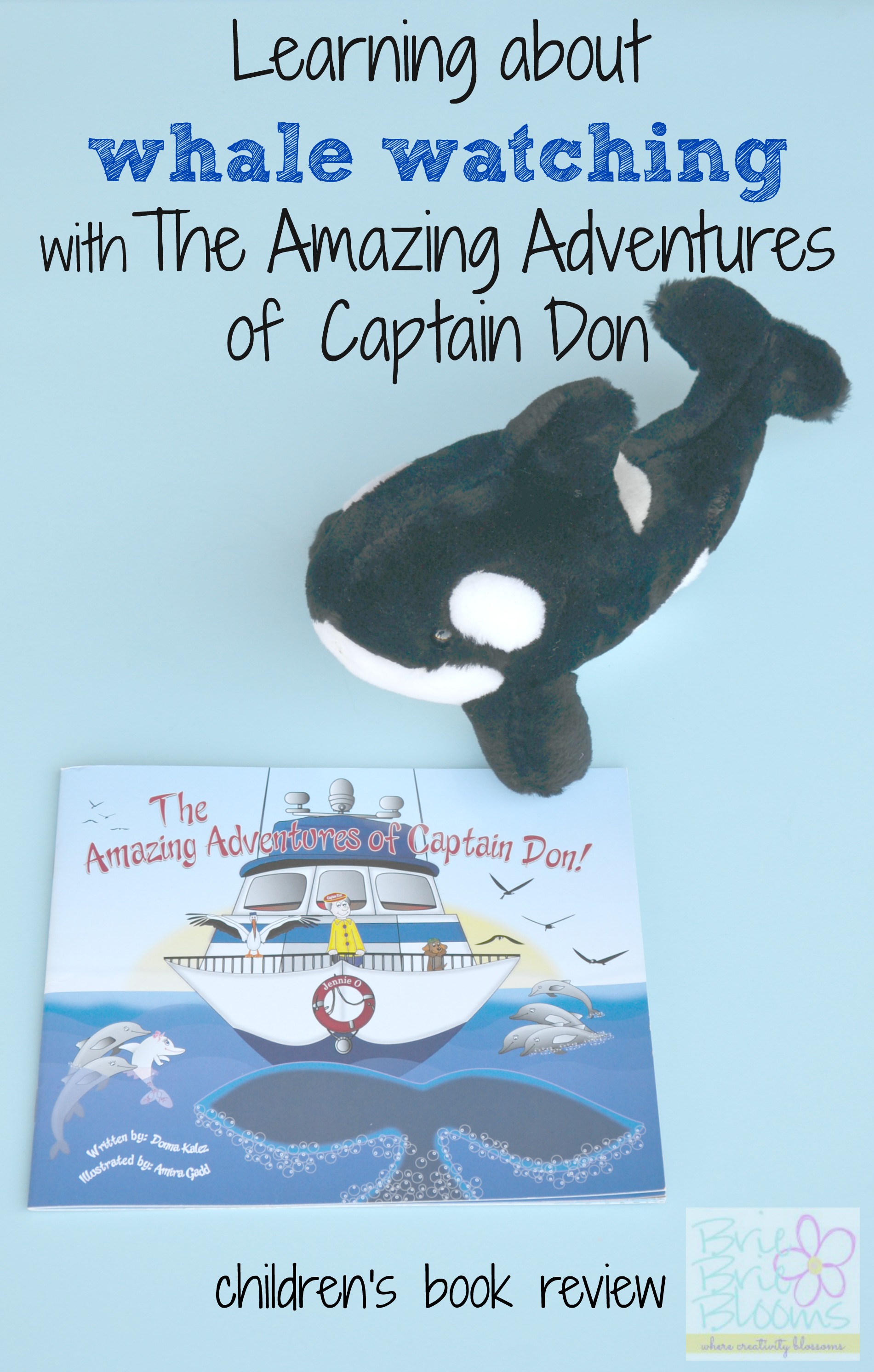 Learning about whale watching with The Amazing Adventures of Captain Don