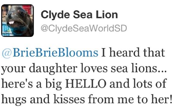 message from Clyde the Sea Lion on Twitter