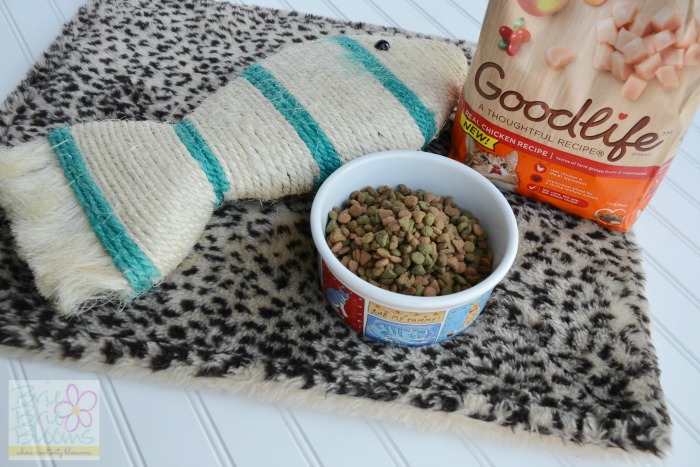 Goodlife-dry-cat-food-and-scratch-post