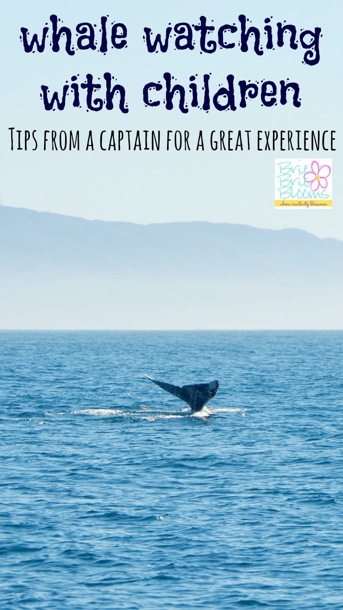 Whale-Watching-with-Children-Tips