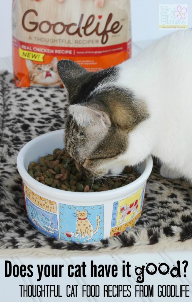 Thoughtful cat food recipes from GOODLIFE™ - Brie Brie Blooms