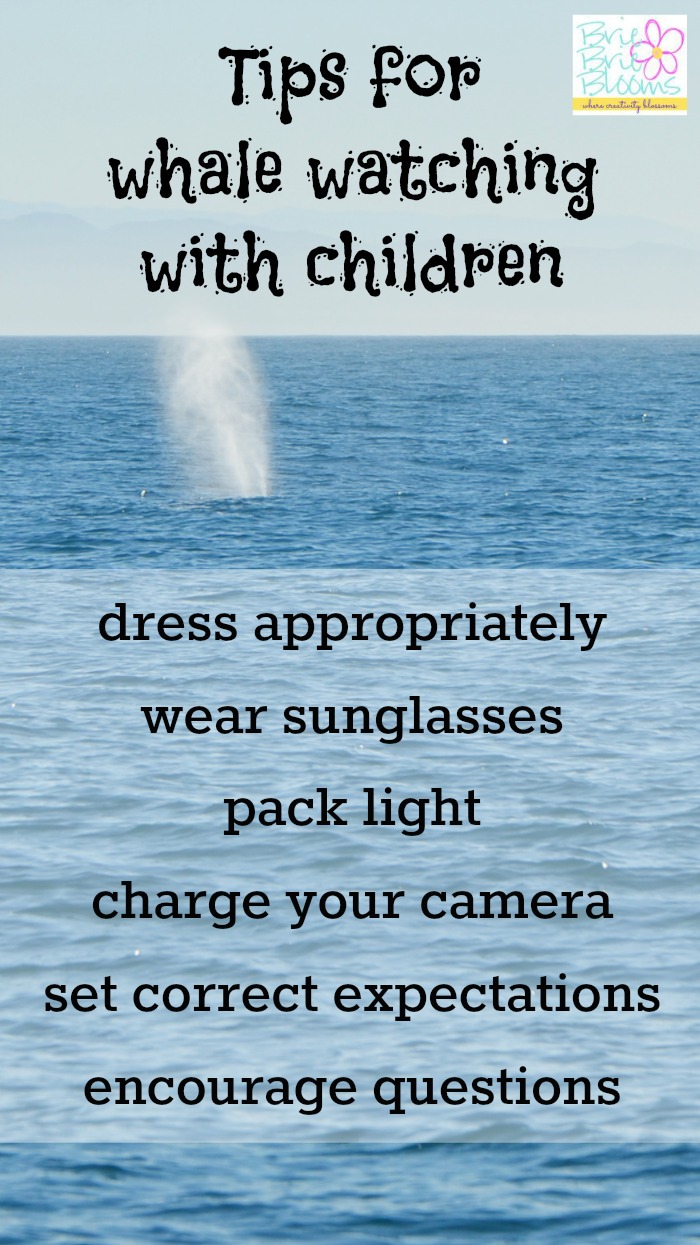tips_for_whale_watching_with_children