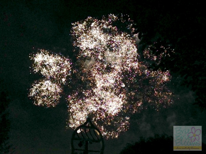 Disney-Social-Media-Moms-Celebration-2014-fireworks