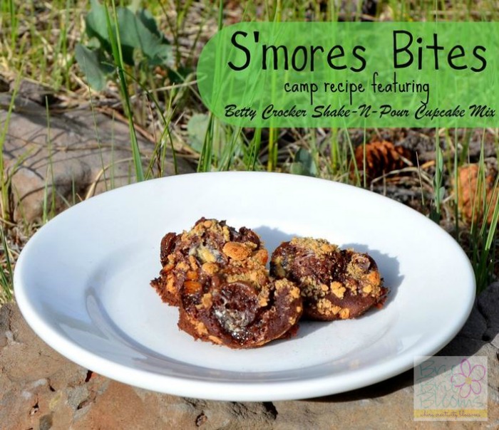 smores-bites-camp-recipe