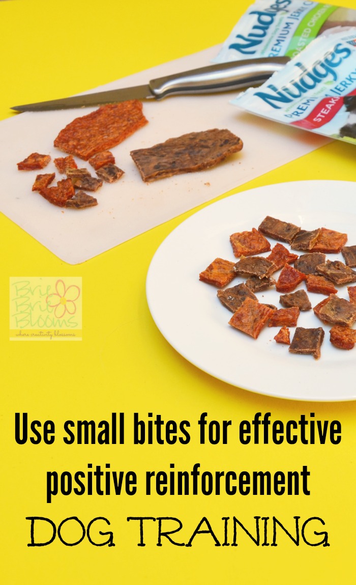 use-small-bites-for-effective-positive-reinforcement-dog-training