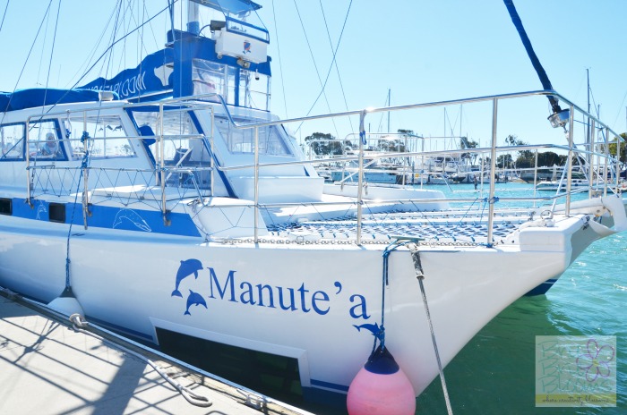 Captain-Dave's-Dolphin-&-Whale-Safari-Manute'a-boat-Dana-Point