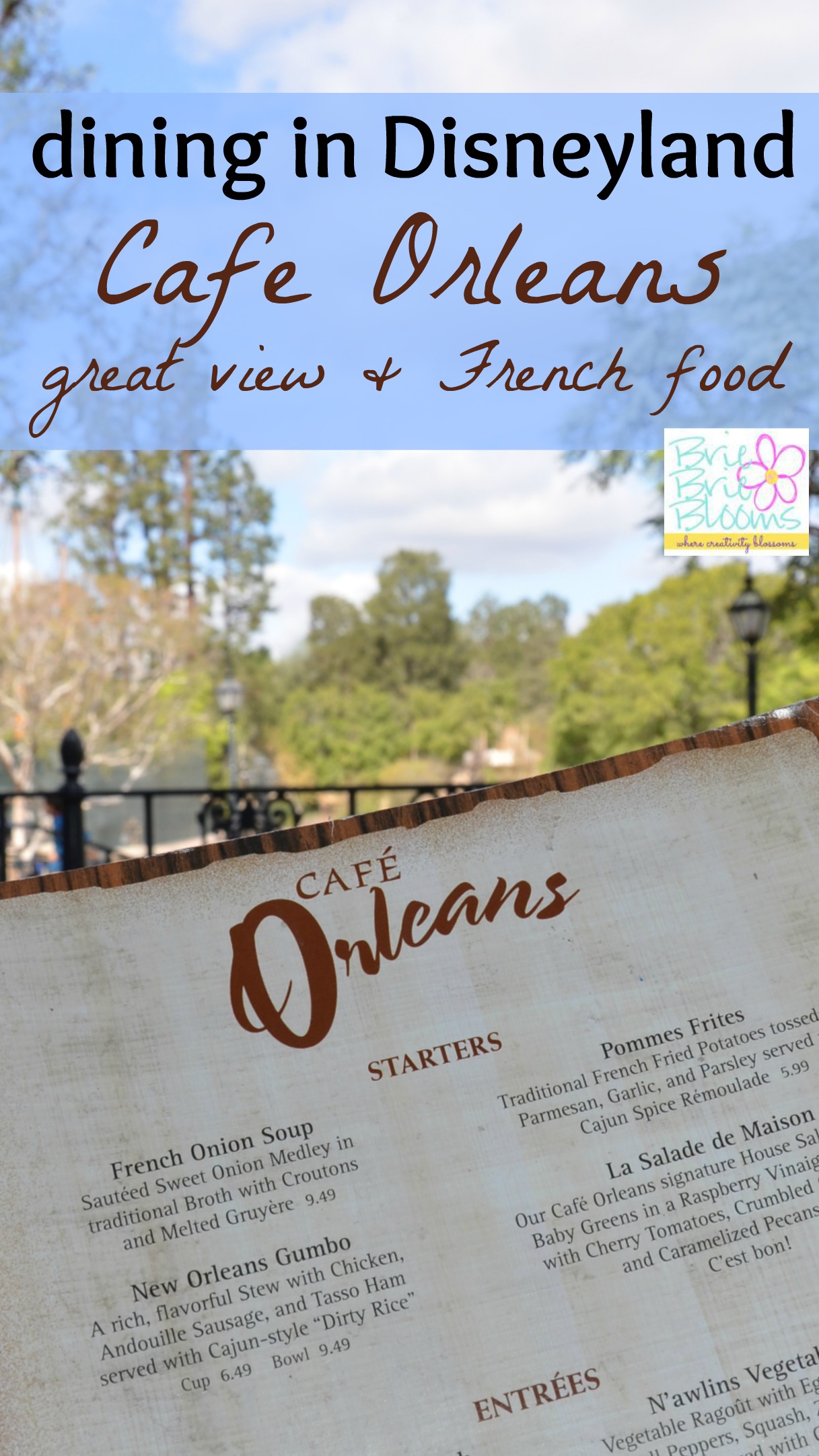 Dining-in-Disneyland-Cafe-Orleans