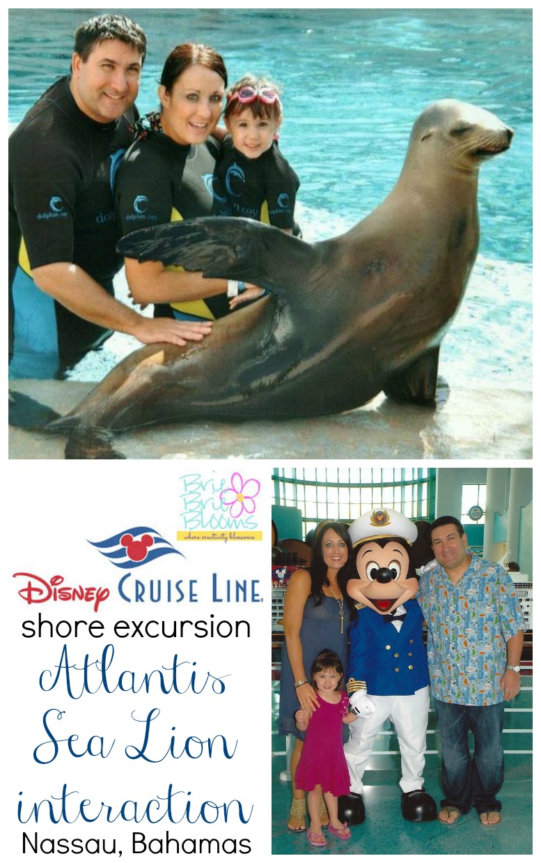 Disney-Cruise-Line-Atlantis-Sea-Lion-Interaction-Nassau-Bahamas