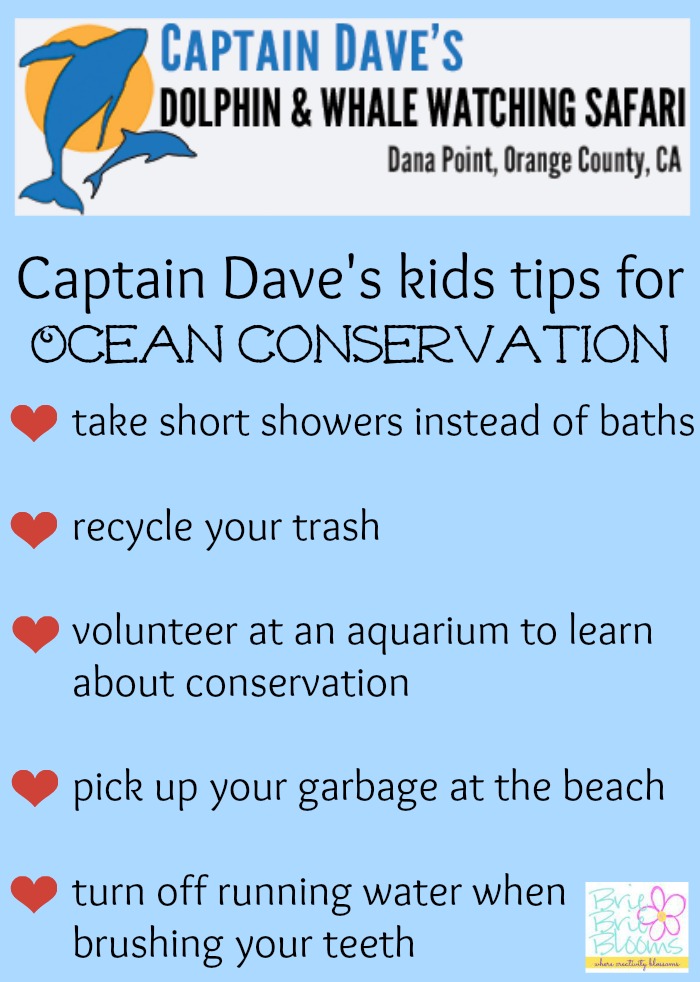 kids-tips-for-Ocean-Conservation-from-Captain-Dave's-Dolphin-&-Whale-Watching-Safari