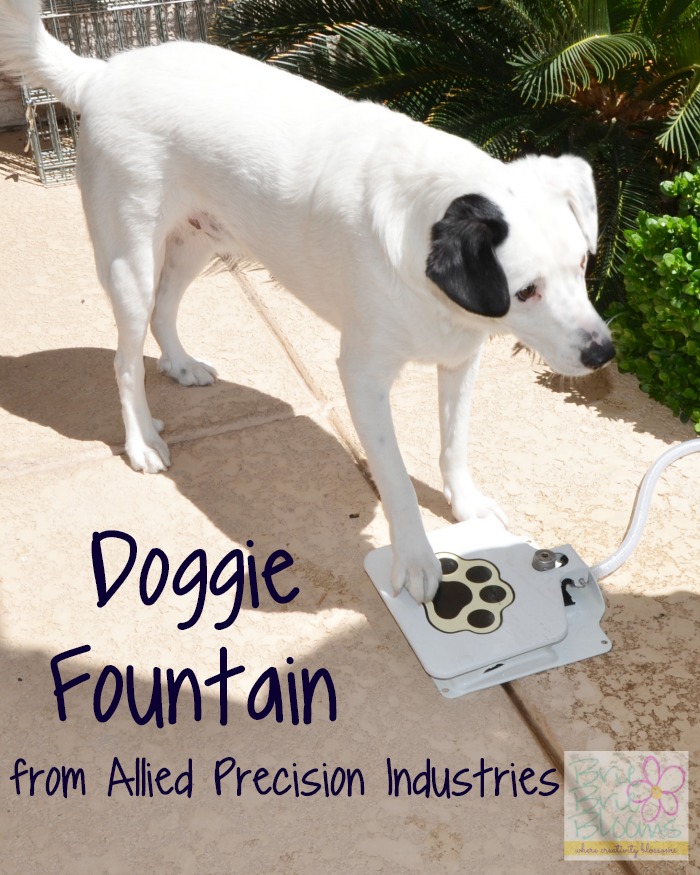 Doggie-fountain-from-allied-precision-industries