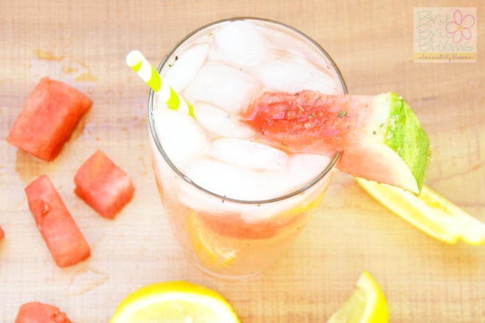 VitaFrute-cocktails-watermelon-lemonade-with-garnish