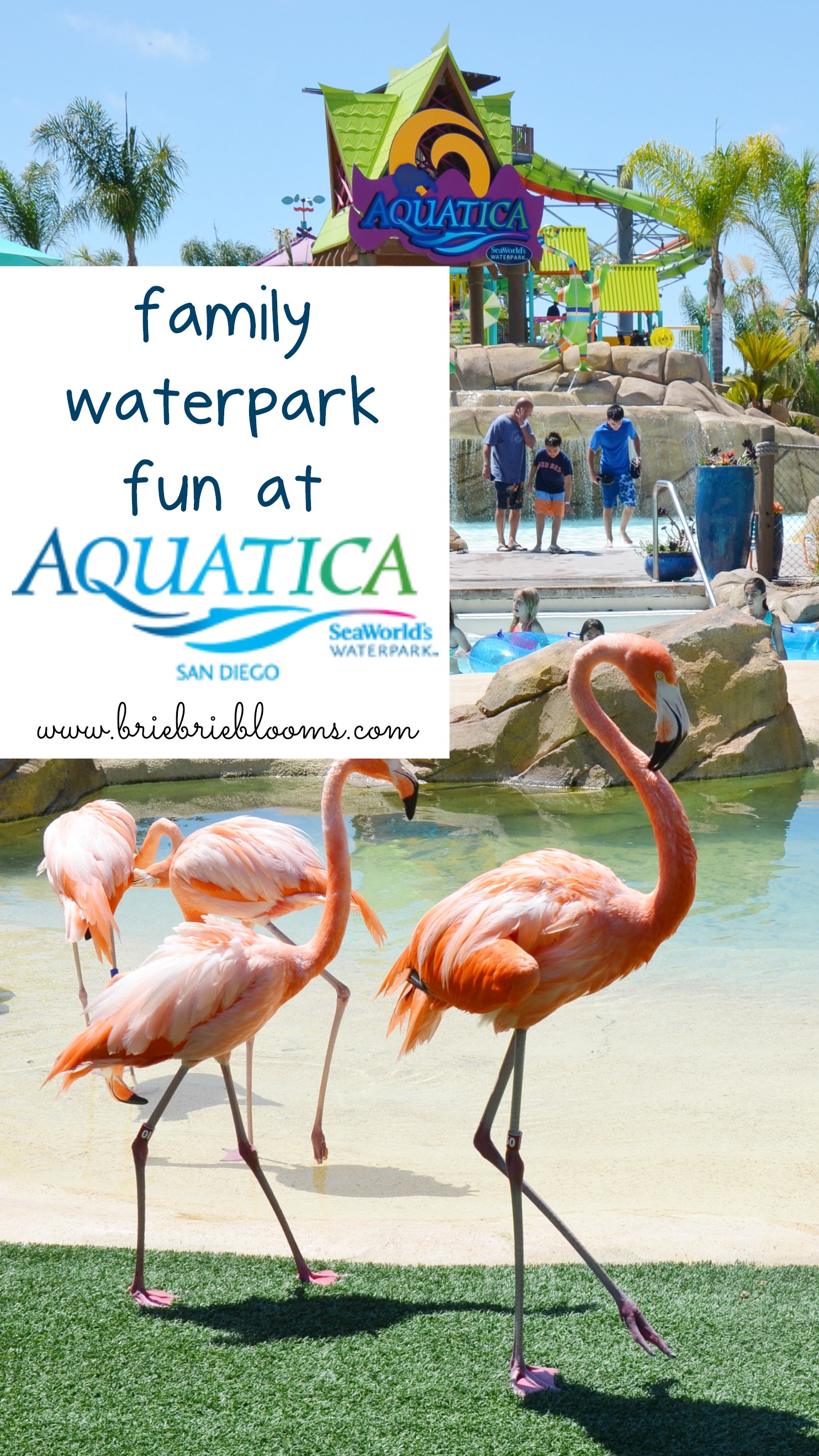 family-waterpark-fun-at-Aquatica-San-Diego
