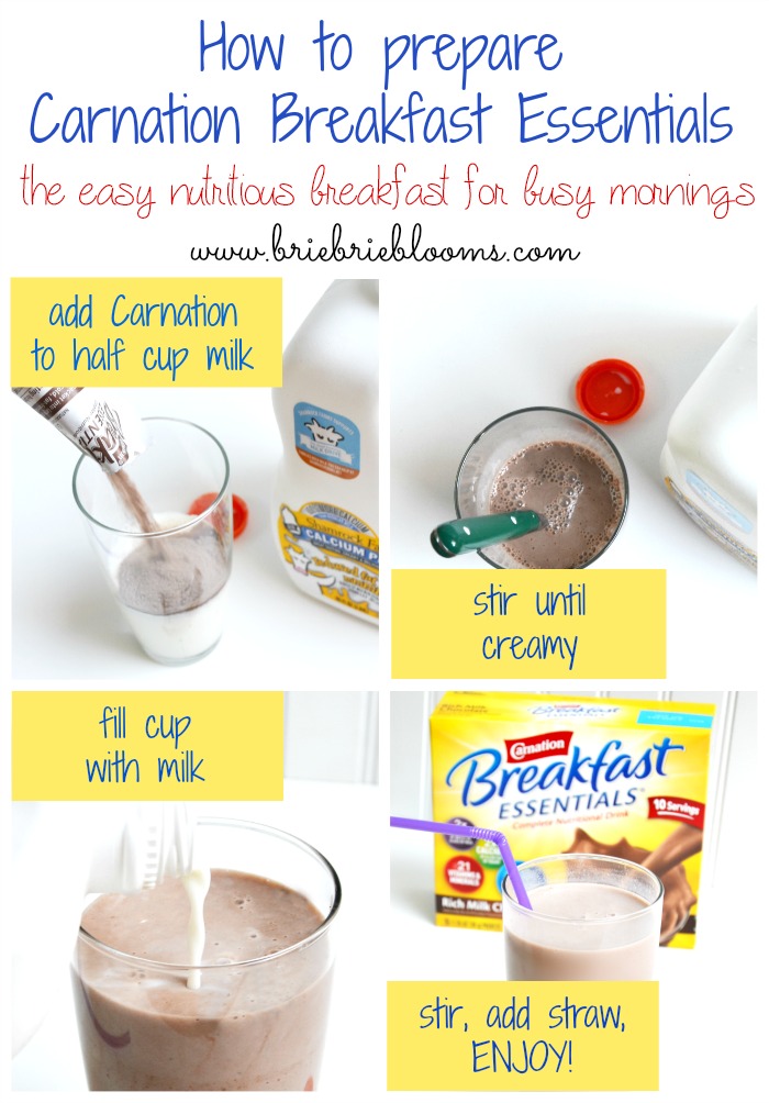 how-to-prepare-carnation-breakfast-essentials