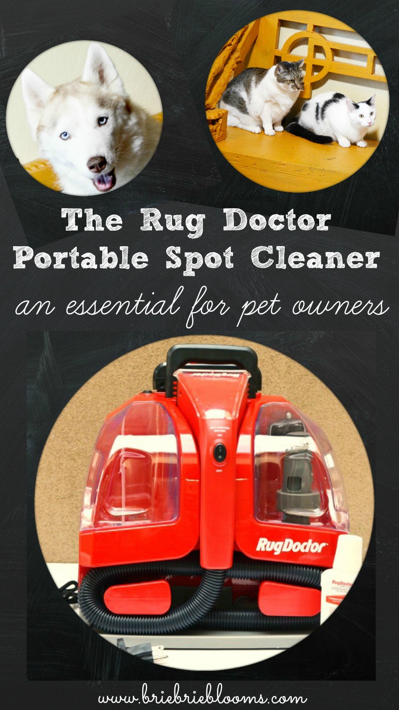 rug-doctor-portable-spot-cleaner-for-pet-owners