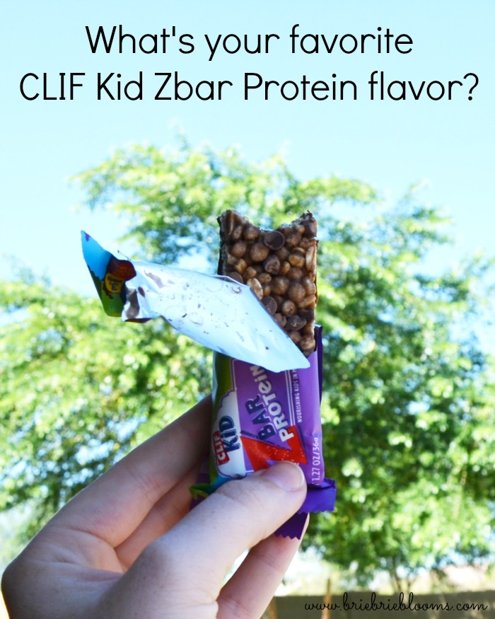 CLIF-Kid-Zbar-Protein