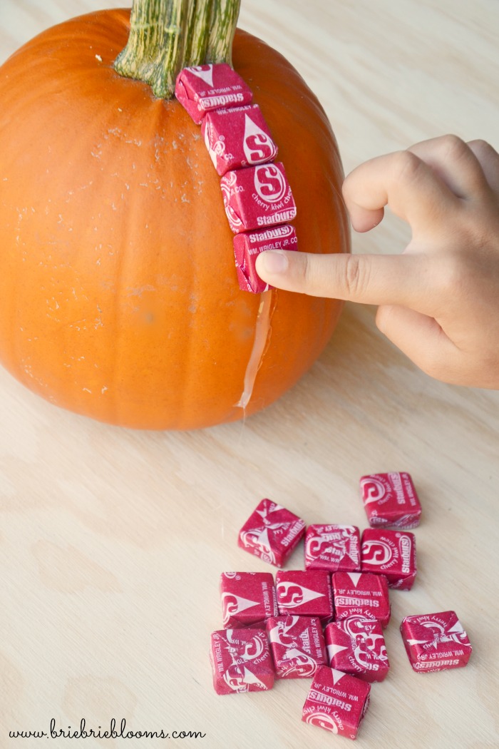 DIY-candy-covered-pumpkin-tuutorial-step-1