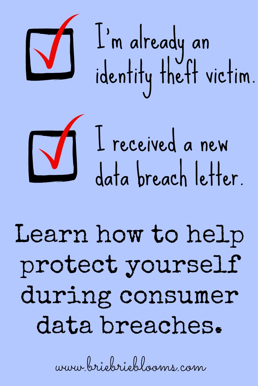 Protect-yourself-during-a-consumer-data-breach