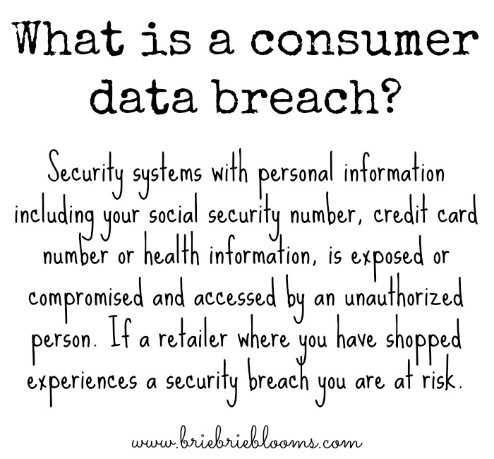 What-is-a-consumer-data-breach