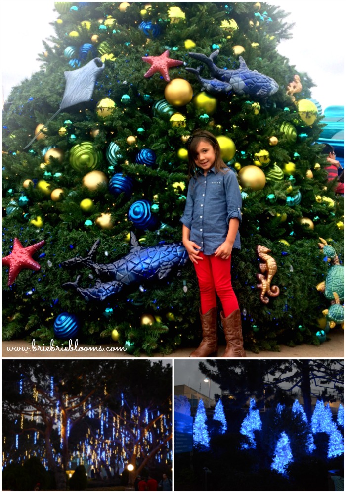 holiday-lights-SeaWorld-San-Diego-#christmasatseaworld
